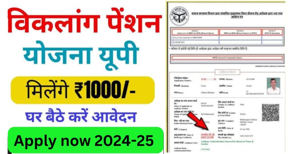 Viklang Pension Yojana