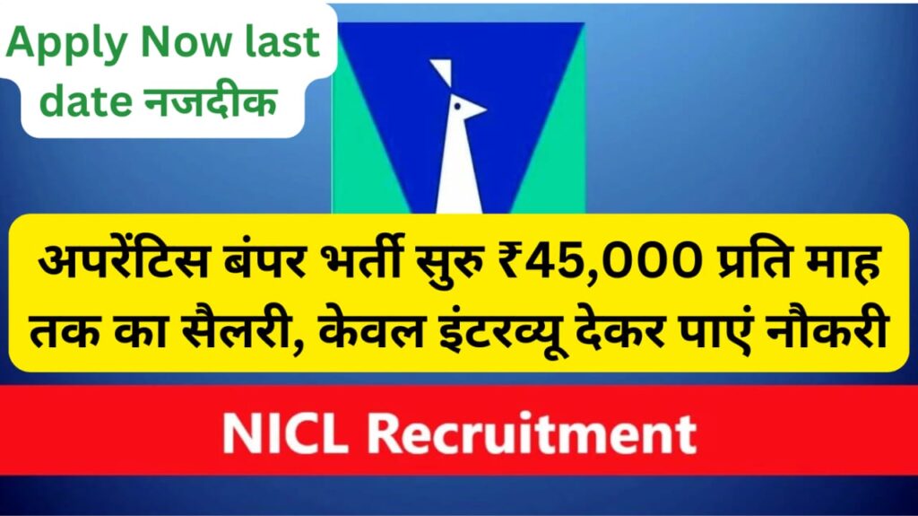 NICL Apprentice Vacancy 2024