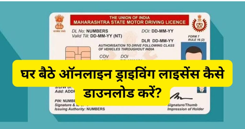 Driving License Download Kasie Kare Online