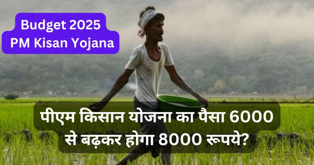 Budget 2025 PM Kisan Yojana